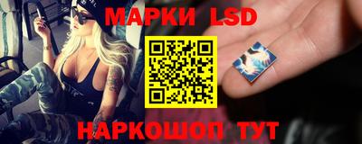эйфоретик Малгобек