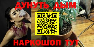 эйфоретик Малгобек