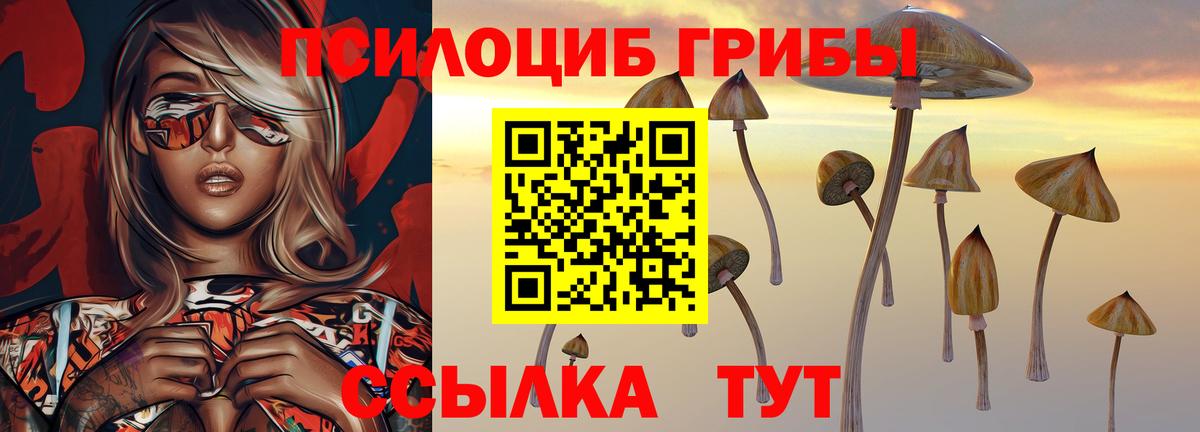 Томск  Галлюциногенные грибы MAGIC MUSHROOMS  Вход с VPN  Галлюциногенные грибы Psilocybe 